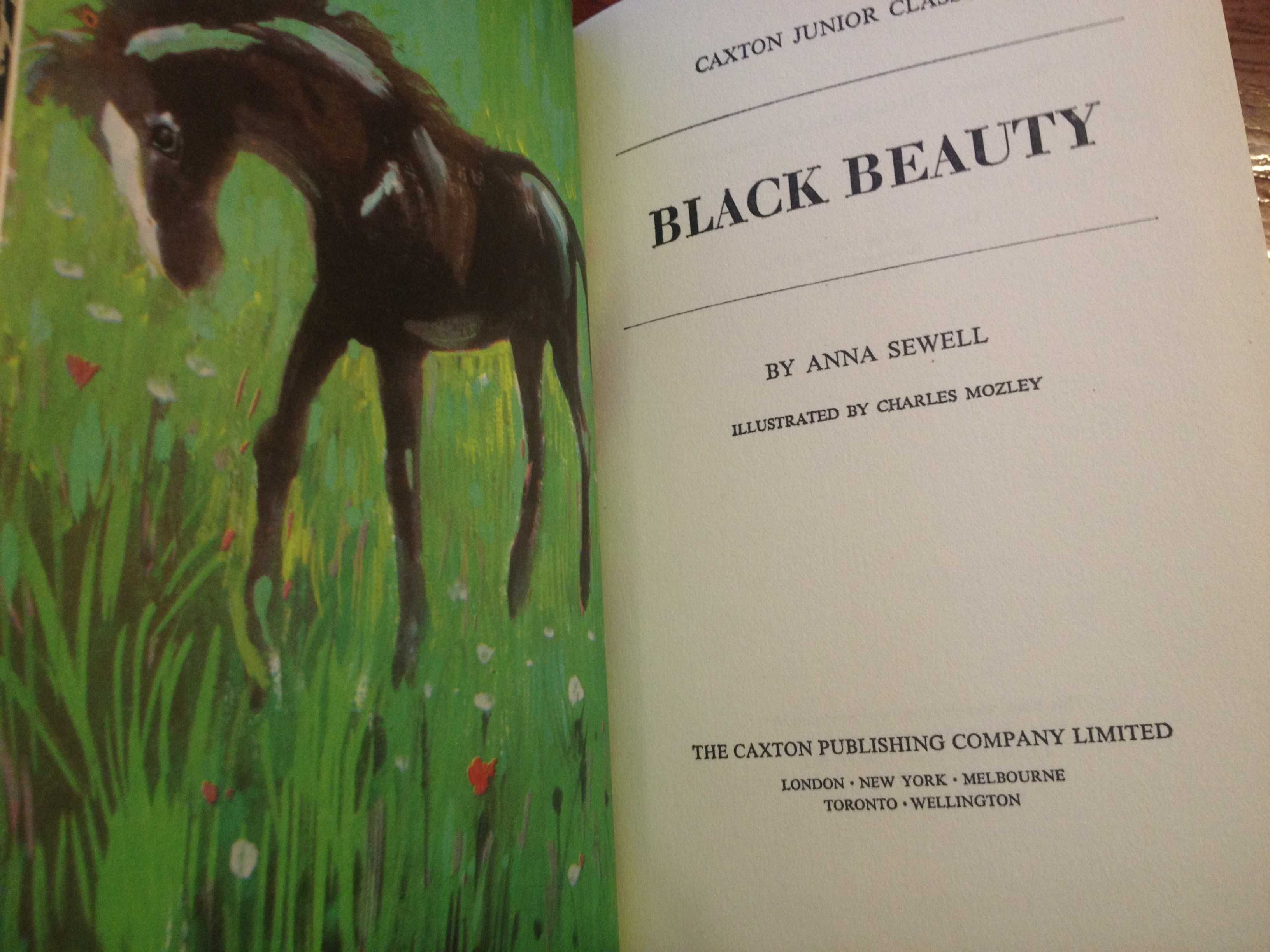 Anna Sewel - Black beauty