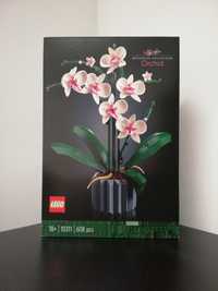 LEGO Orchidea 10311 Kolekcja Botaniczna