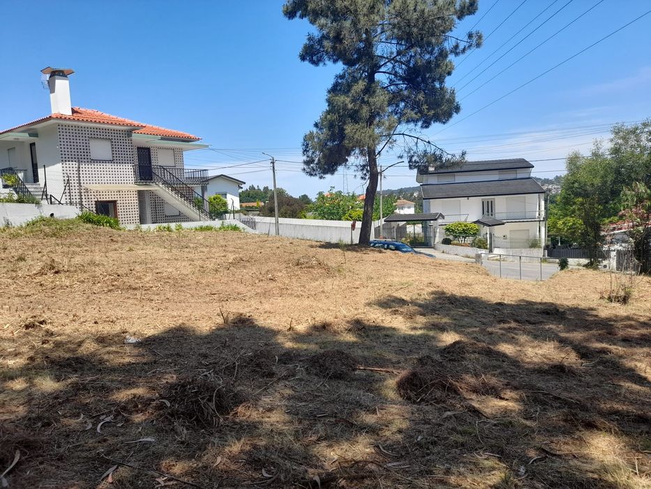 Terreno Caldas S. Jorge
