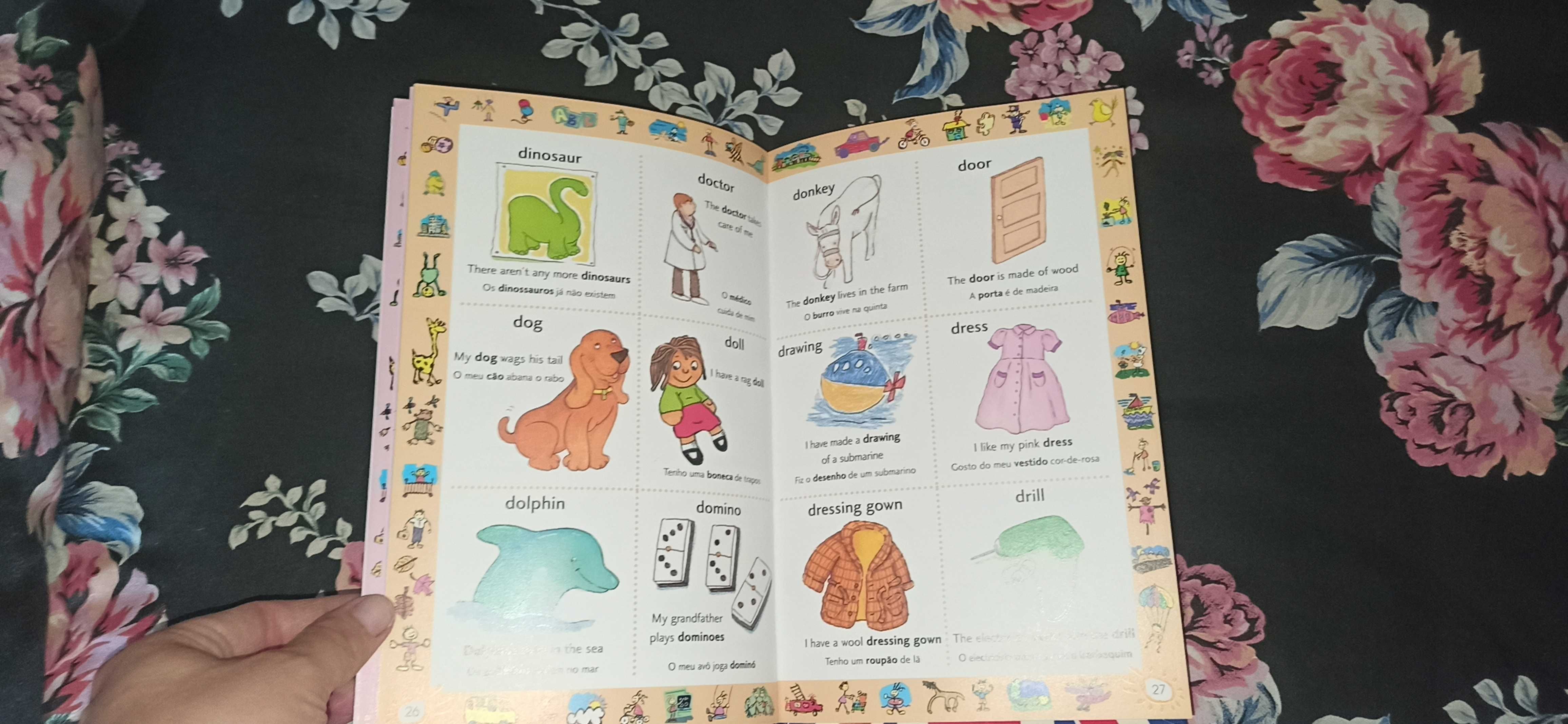 Livro infantil Dicionário ilustrado de inglês