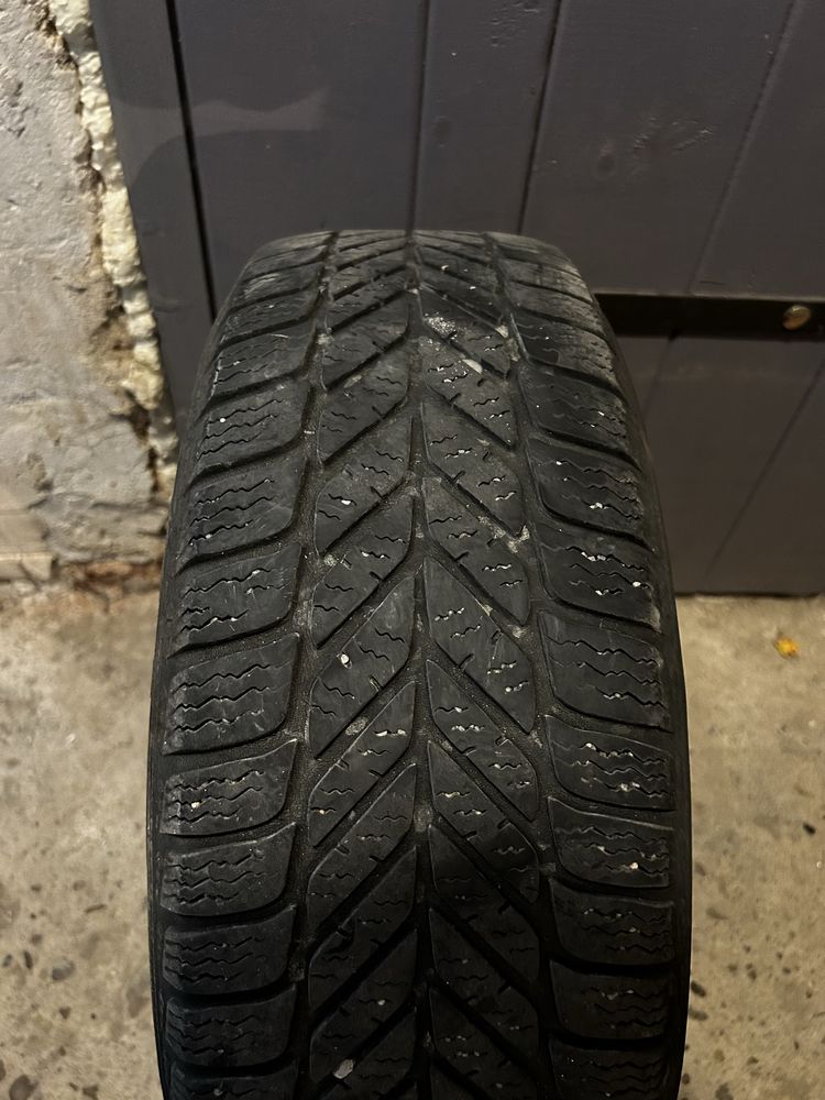 Felgi stalowe 5x100 r. 14 z oponami Debica Frigo