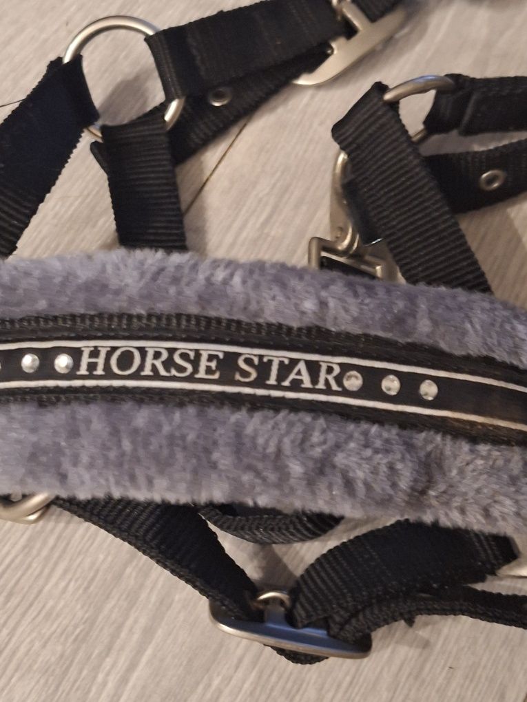 Kantar  pony -Horse star