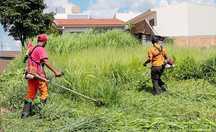 Serviço de limpeza de terrenos com roçadora e manutenção do hogar