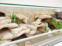 Terrarium dla węża zbożowego agamy brodatej karłowat TW13W3L AquaWaves