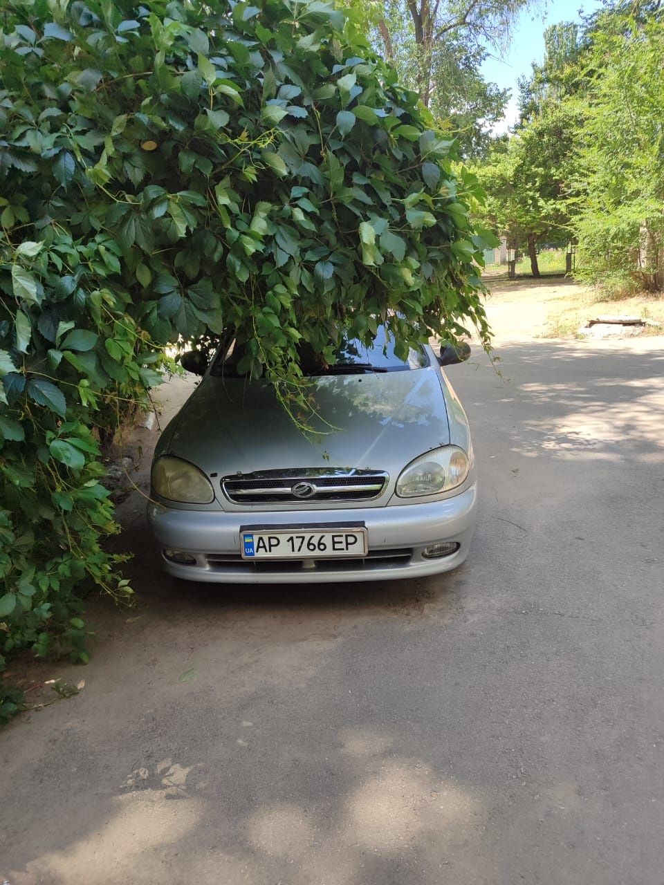 ланос с завода в одних руках