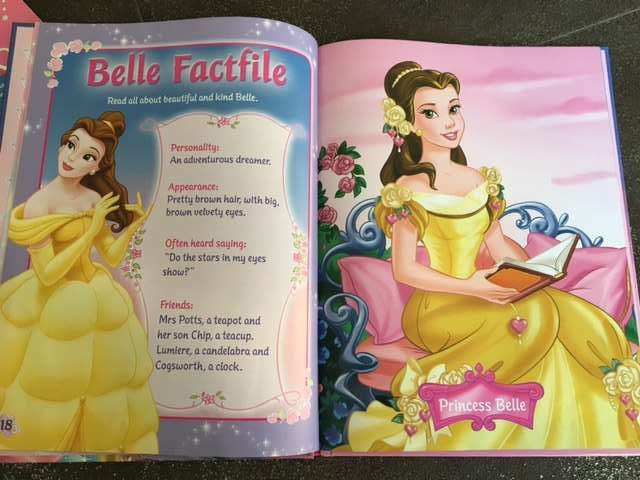 livro princesas Disney capa rígida