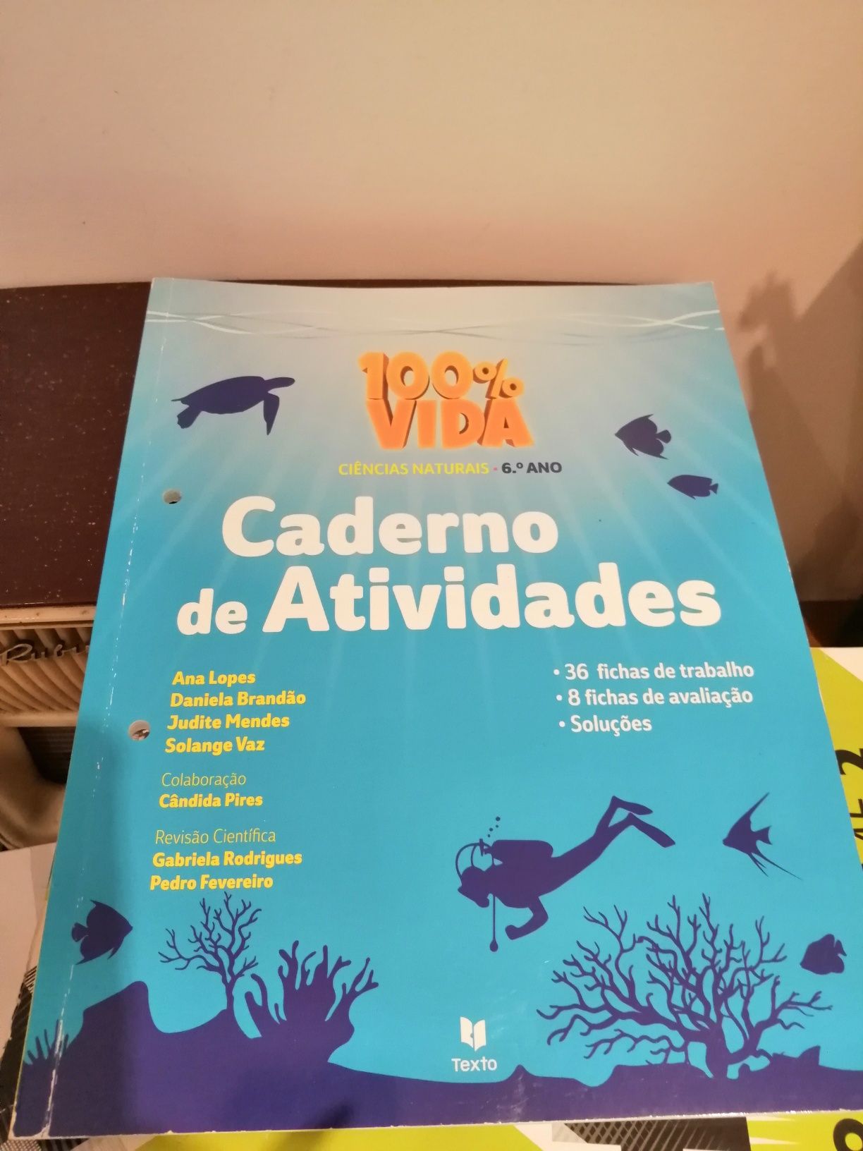 Manuais escolares e cadernos de atividades 5/6/7/8