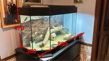 Aquario/ terrario