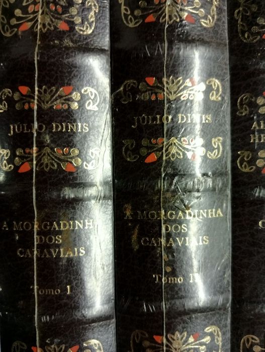 Clássicos da Literatura Portuguesa - Selados