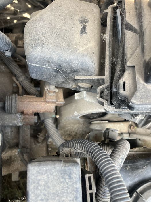 Nissan almera classic