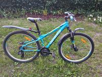 Rower Genesis 24''