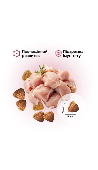 Сухий корм для кошенят 1-12 місяців з куркою 10  кг