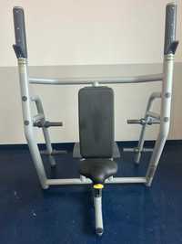 Technogym Vertical Workout Bench Ławka Pionowa