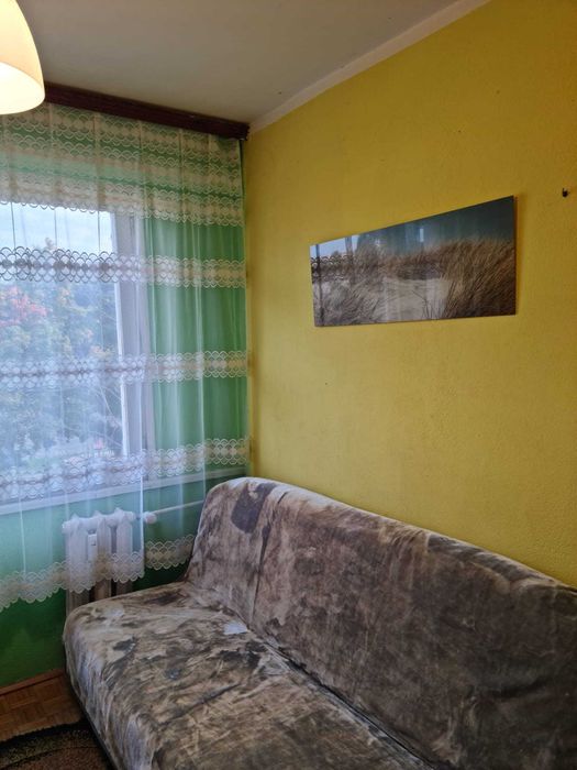 Do wynajęcia pokój w centrum Olsztyna