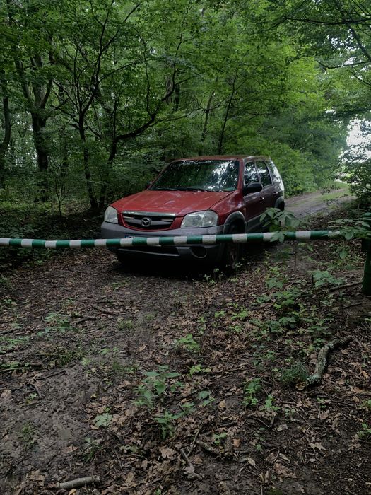 Мазда трибют в хорошому стані