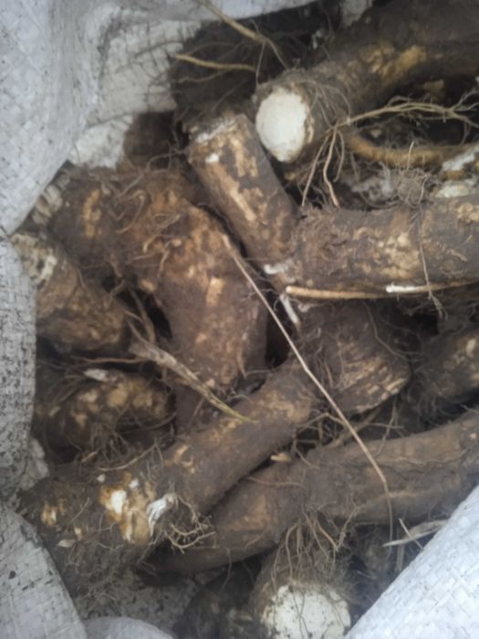 Продам хрін є обеми оптом
