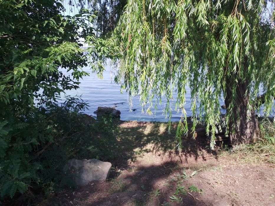 Будинок з власним берегом