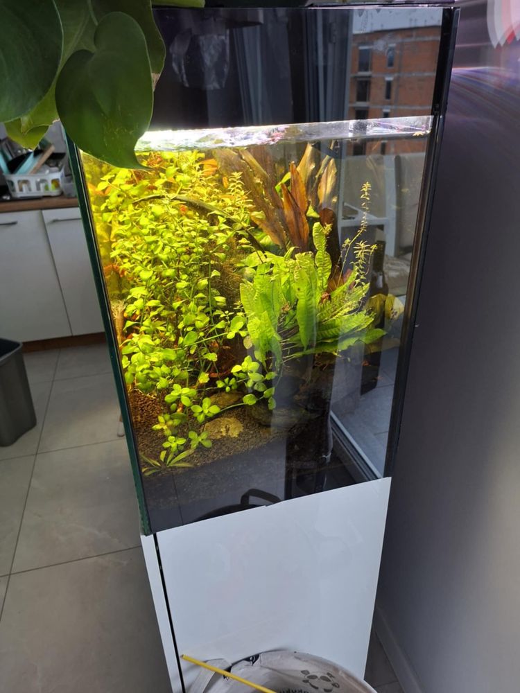Sprzedam akwarium 240l