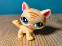 Littlest Pet Shop kot maine coon #1572 shorthair