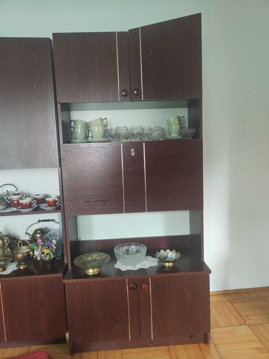 Mebloscianka brązowa
