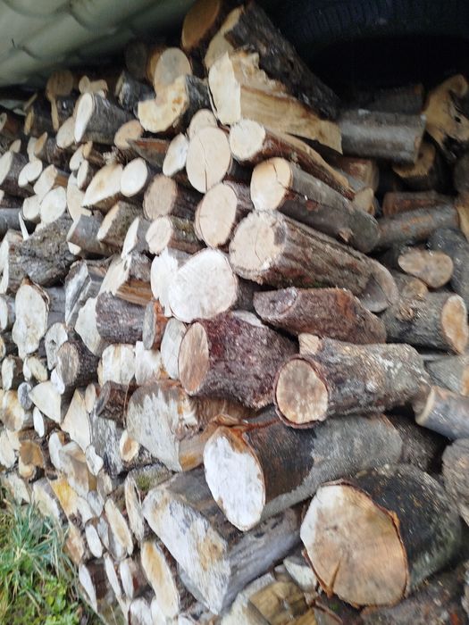 Drewno kominkowe mieszanka liściasta