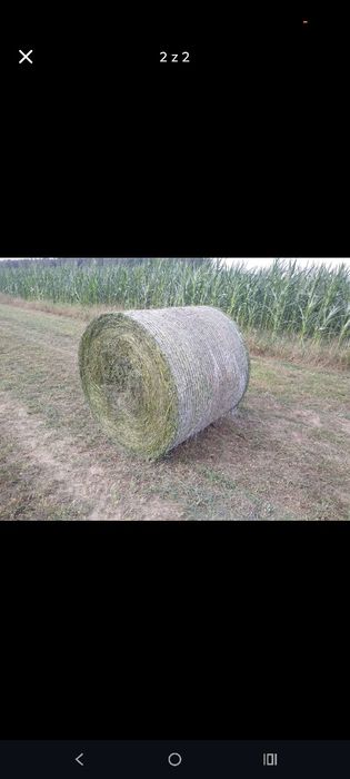 Sprzedam prasę Claas Rollant 355  350 340
