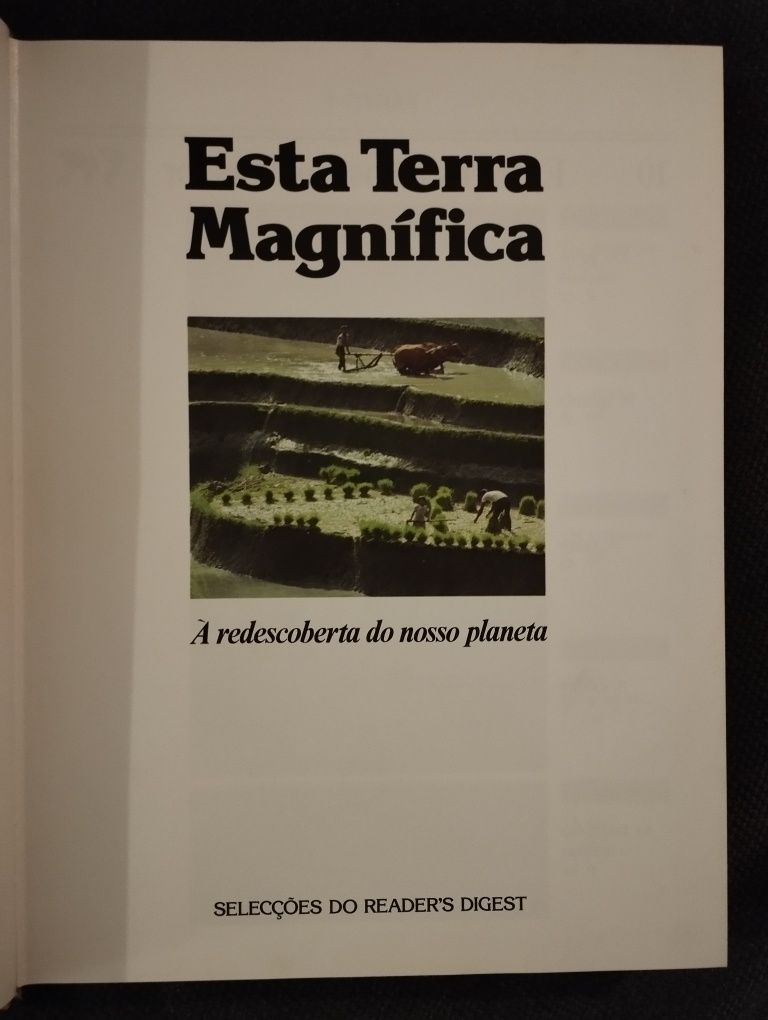 Esta Terra Magnífica