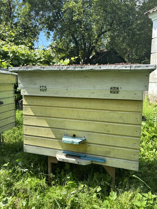 Продам вулики для бджіл