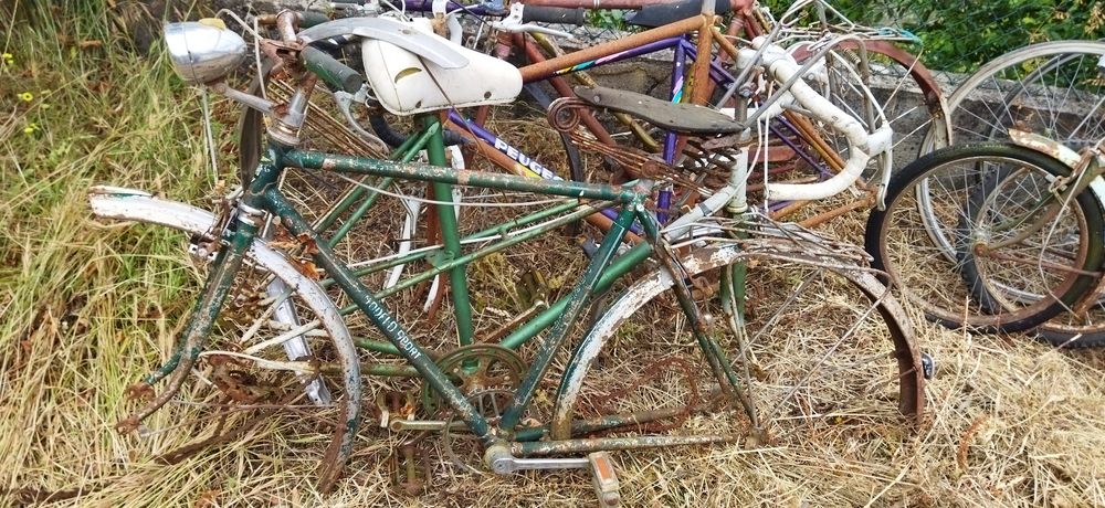 Quadros bicicleta antigos