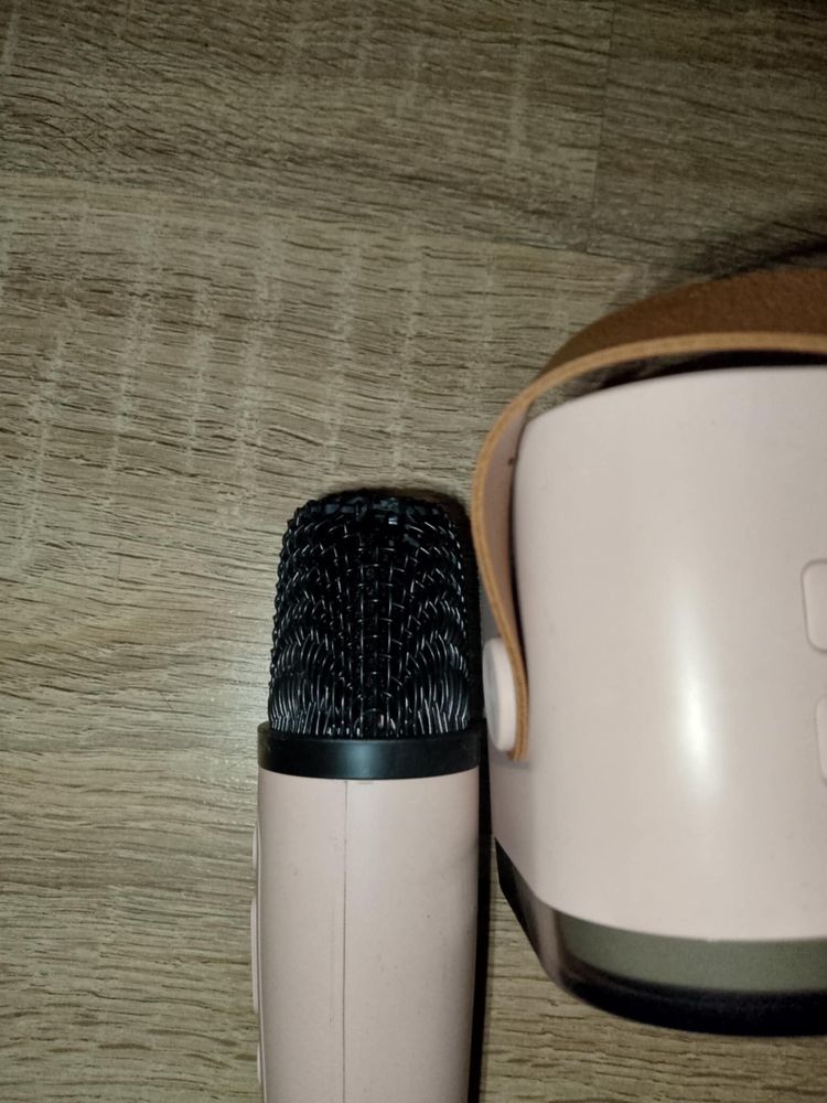 Glosnik do karaoke z mikrofonami