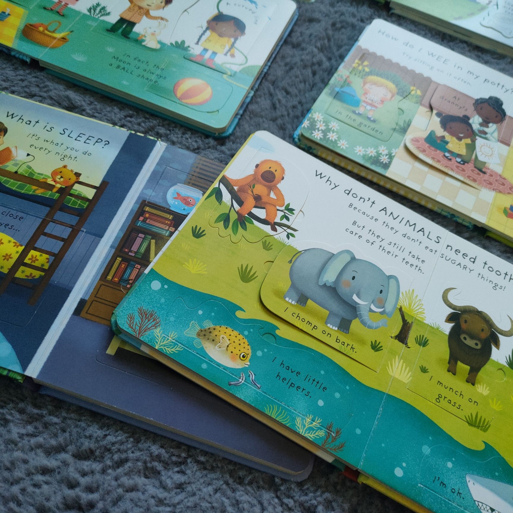 Lift the flaps usborne książeczki dla dzieci anglojęzyczne po angielsk