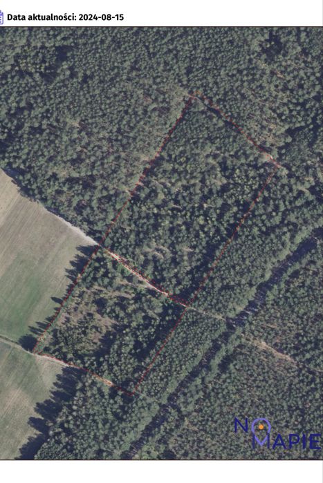 Działki leśne, 4ha