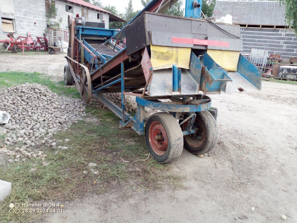 Sortownik do ziemniaków
