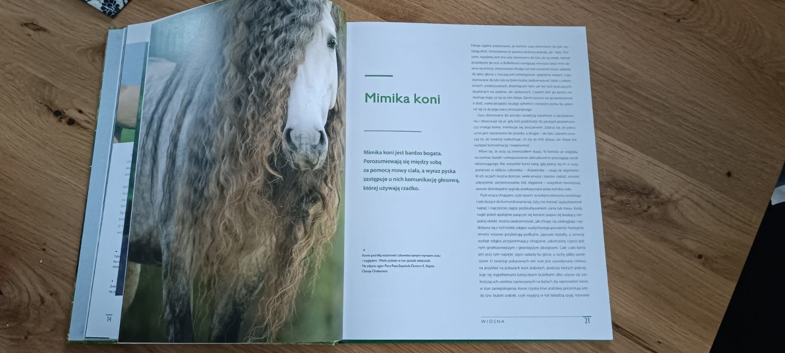 Atlas 'Konie'M. Mąkosa