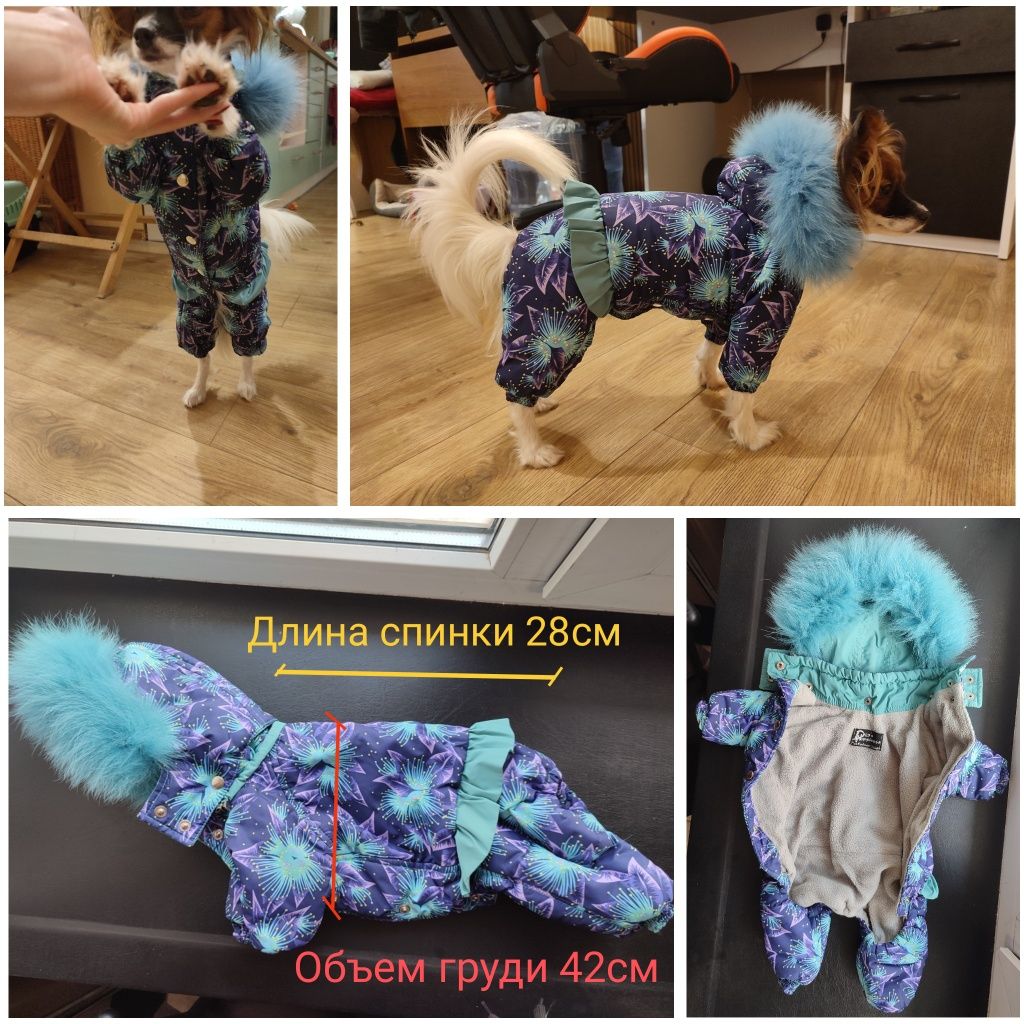 Одежда на маленьких собак