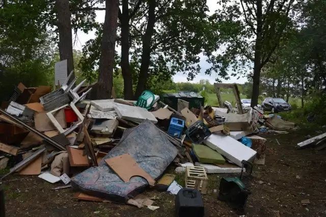 Czyszczenie działek sprzątanie wywóz śmieci gałęzi rozbiórka