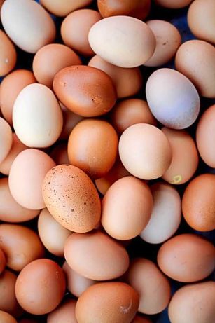 Яйца на инкубацию домашних несушек