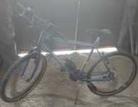 Bicicleta de adulto