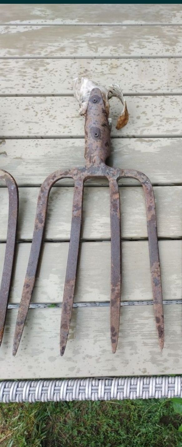 Widły stare narzędzia przybory do pracy w ogrodzie lub w gospodarstwie