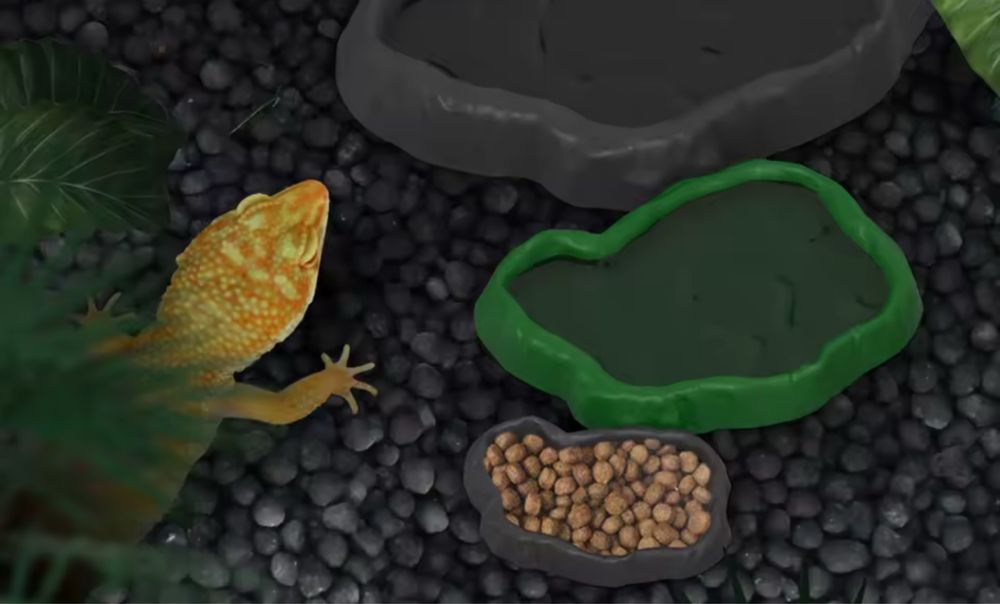 Мисочка для рептилий новая