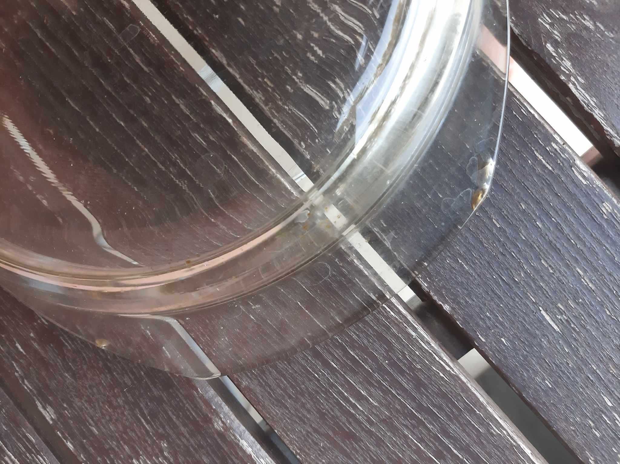Naczynie żaroodporne / pojemnik szklany (lekko ukruszone)