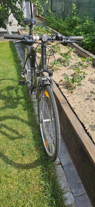 Rower Giant sport x 3 (rozmiar L/54)