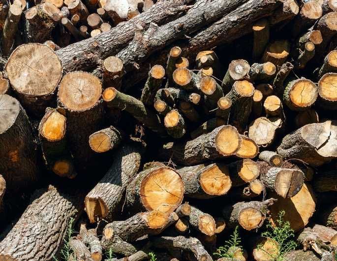 Продам дрова дуб, ясень, акация, без предоплаты, доставка быстро