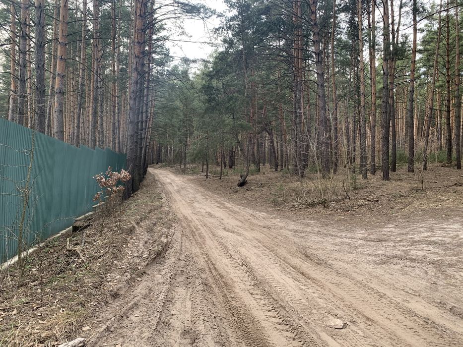 Срочно! Участок Лес Сосны Речка Хлепча 1га под застройку жилого дома
