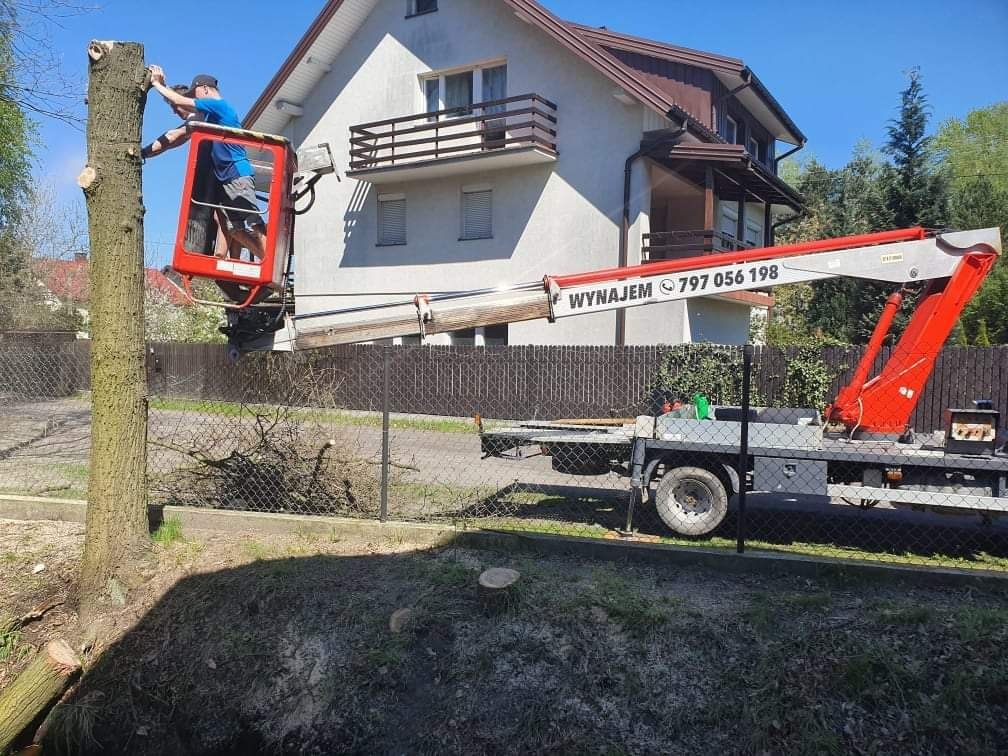 Czyszczenie działek mulczer wycinka przycinka drzew rębak podnośnik