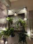 Kwietnik ścienny ręcznie robiony | Styl loft / urban jungle