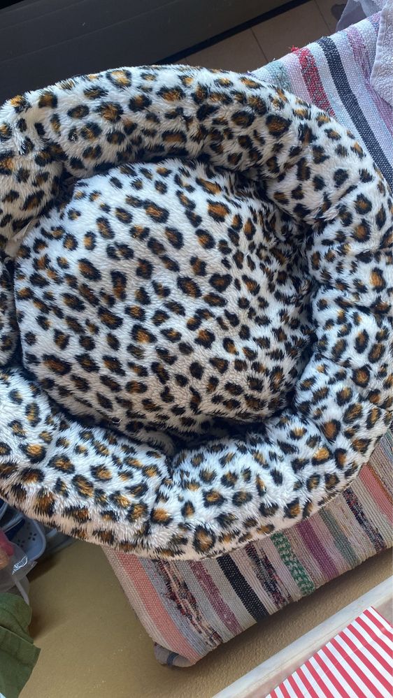 Cama de gato usada