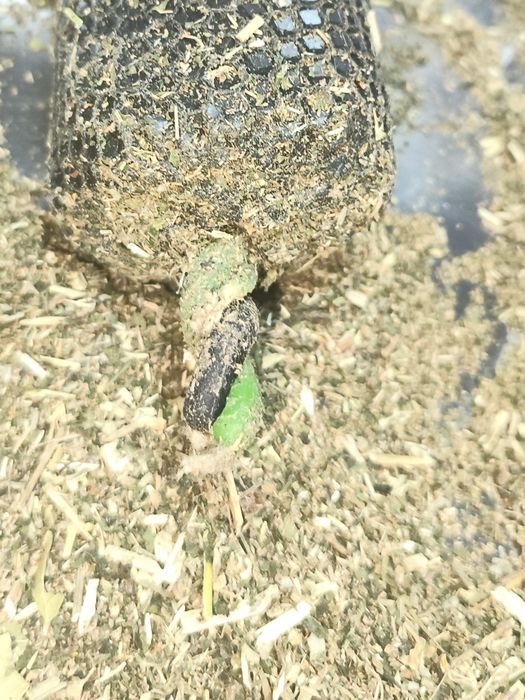 Свечи из вощины на чистку финансового канала