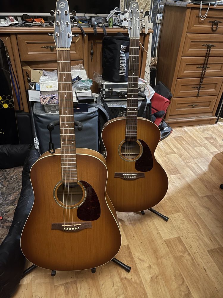 Гітара Godin Seagull Entourage Rustic