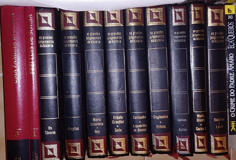Livros/Eça Queiroz/culinária/José Rodrigues dos Santos/florbela